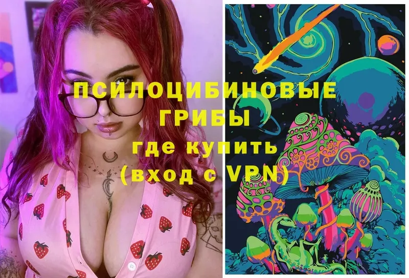 Галлюциногенные грибы ЛСД  omg ССЫЛКА  Андреаполь 